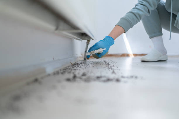 Pest Control Cost in Mcguire Af, NJ