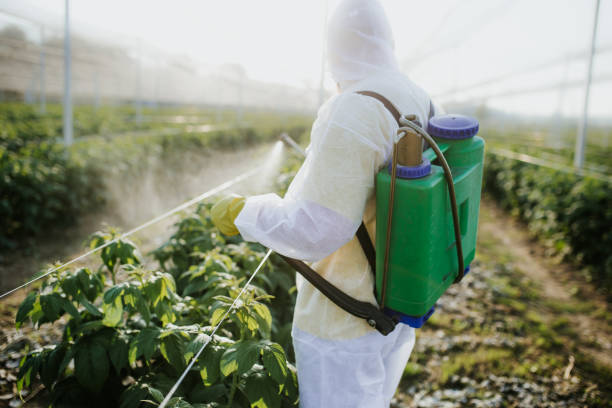 Best Pest Control for Restaurants  in Mcguire Af, NJ